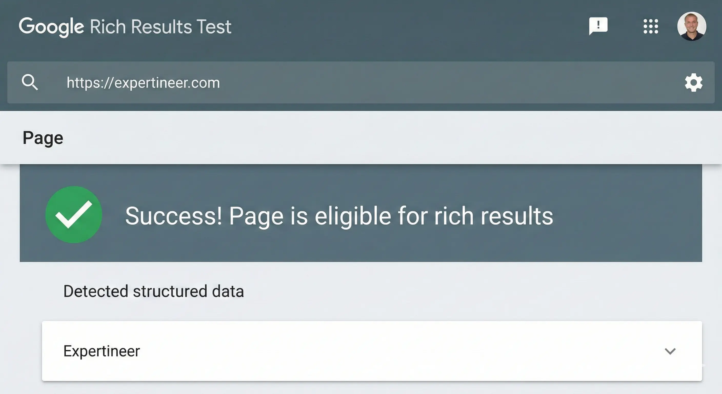 Actual Google Rich Results test proving Expertineer's new AI visibility
